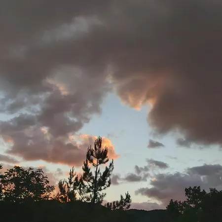 Eva Apartament Meduvrsje