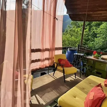 Apartament Eva Meduvrsje