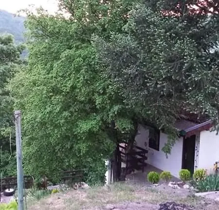 Apartament Eva *