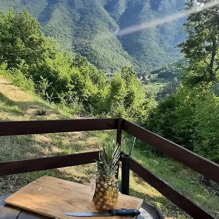 Apartament Eva Meduvrsje