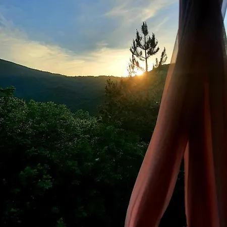 Apartament Eva Meduvrsje