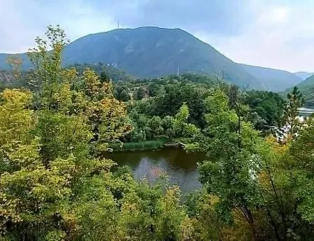 Eva Apartman Meduvrsje