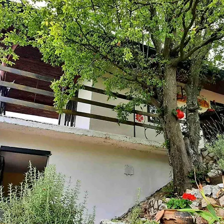 Apartament Eva Meduvrsje